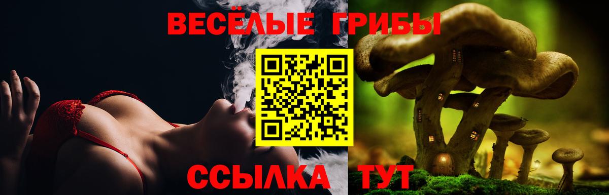 Галлюциногенные грибы мицелий Владивосток