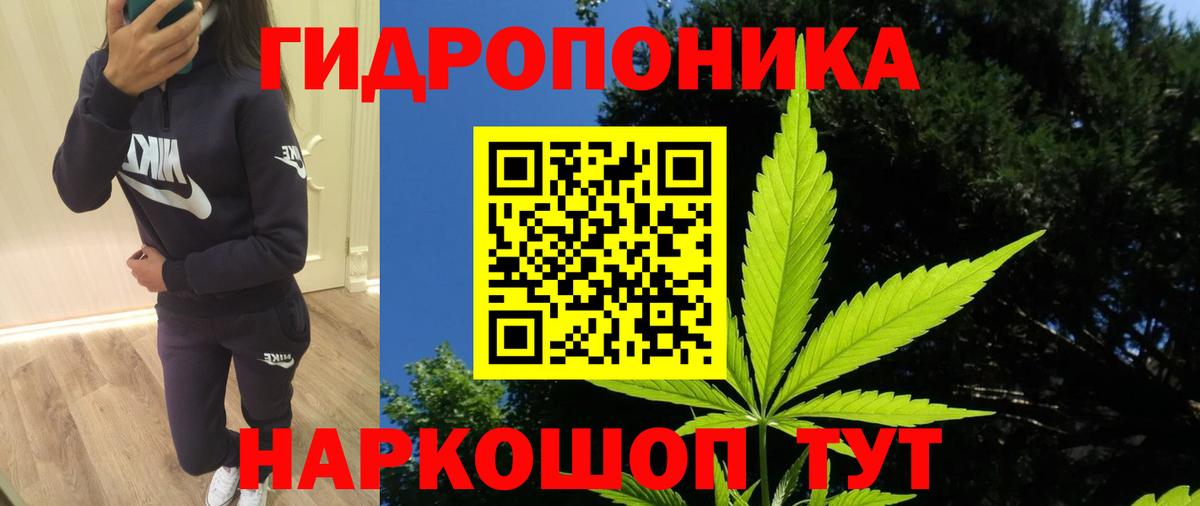 Бошки марихуана планчик Владивосток